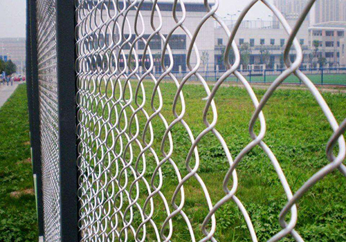 遼寧PVC包塑勾花網圖片4