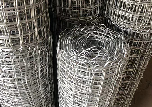 遼寧經緯網卷圖片2