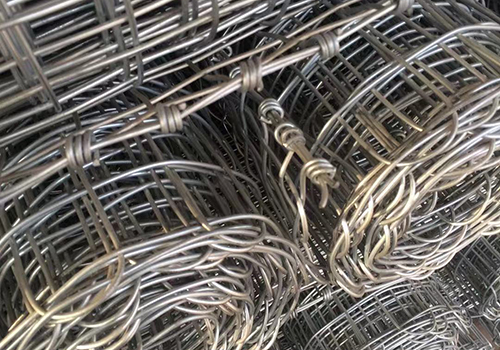 遼寧經緯網卷圖片3