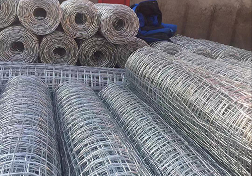 遼寧經緯網卷圖片4