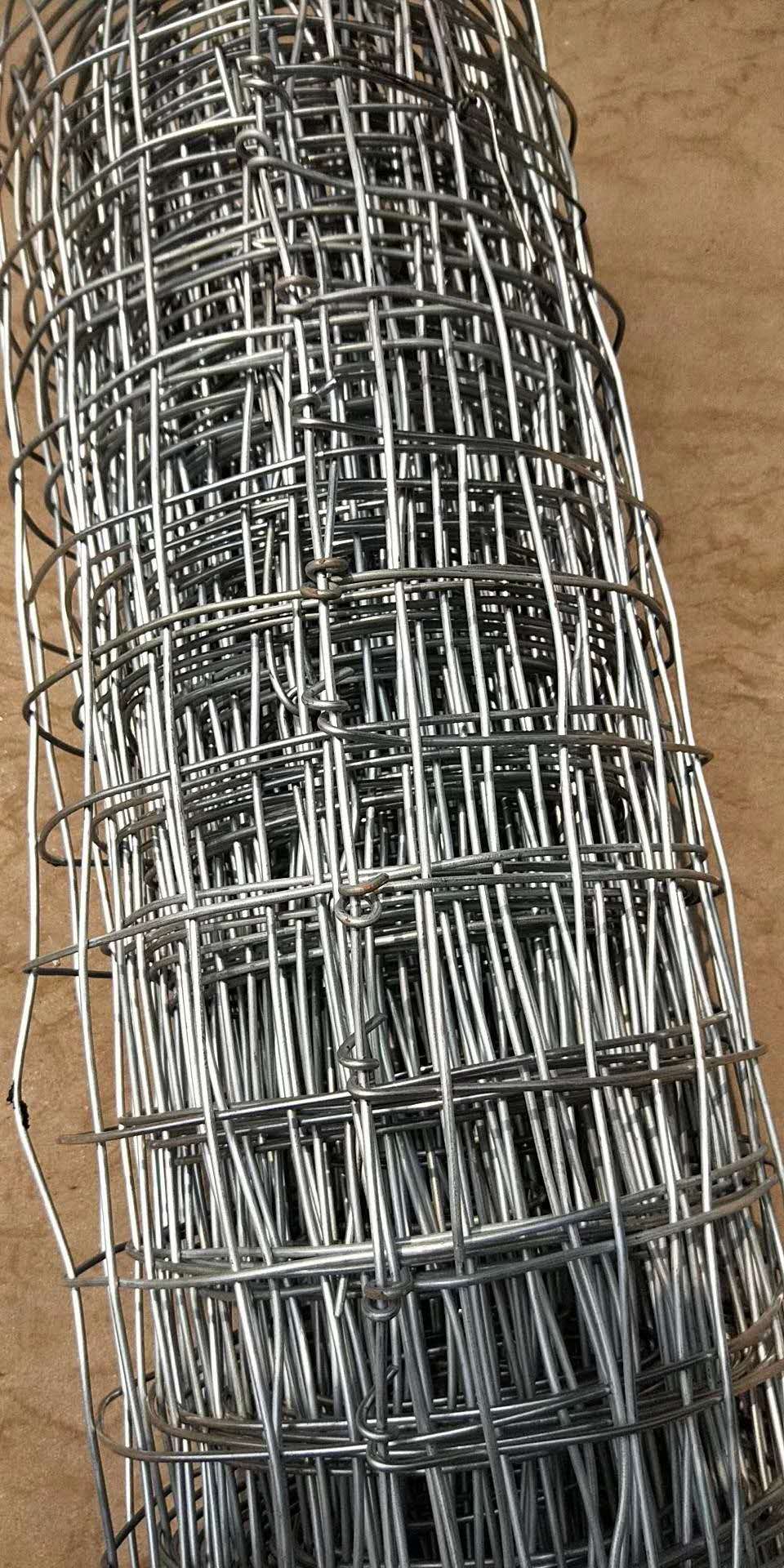 1563434303708462.jpg 經緯網2.jpg