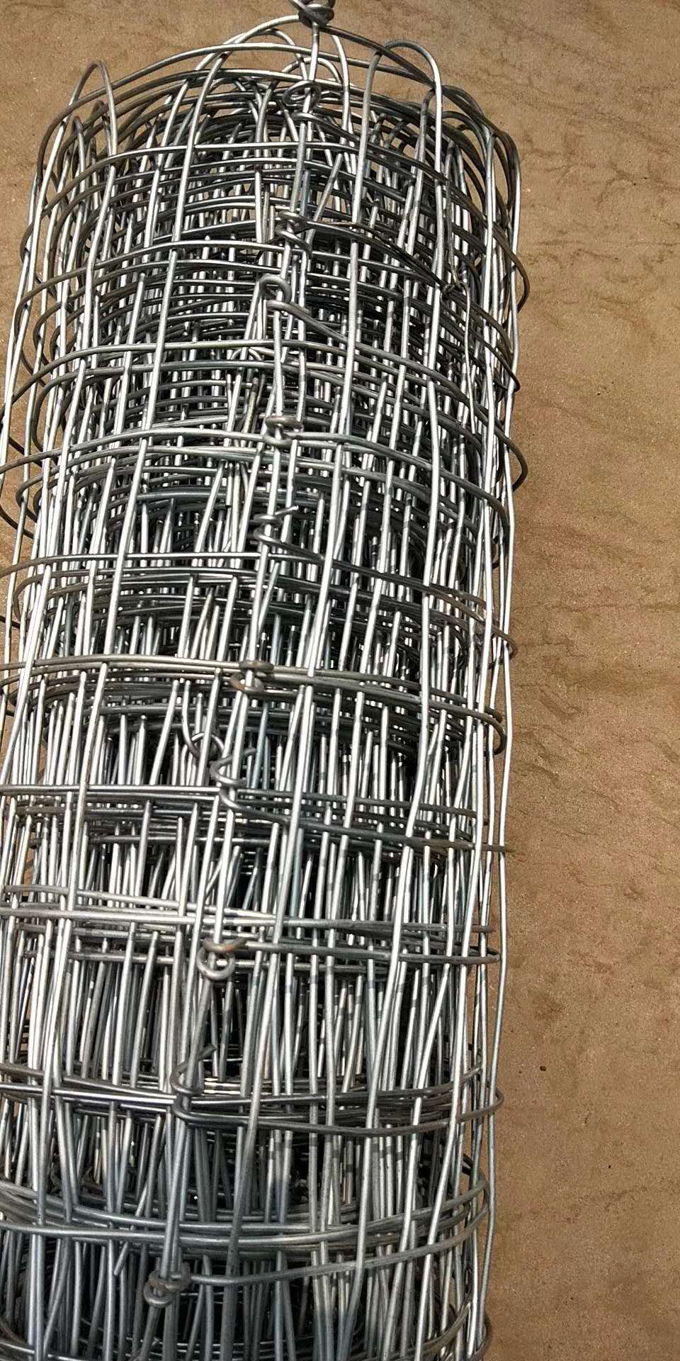 河北鍍鋅經緯網