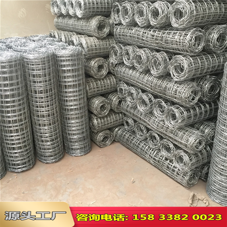 河北礦用經緯編織網