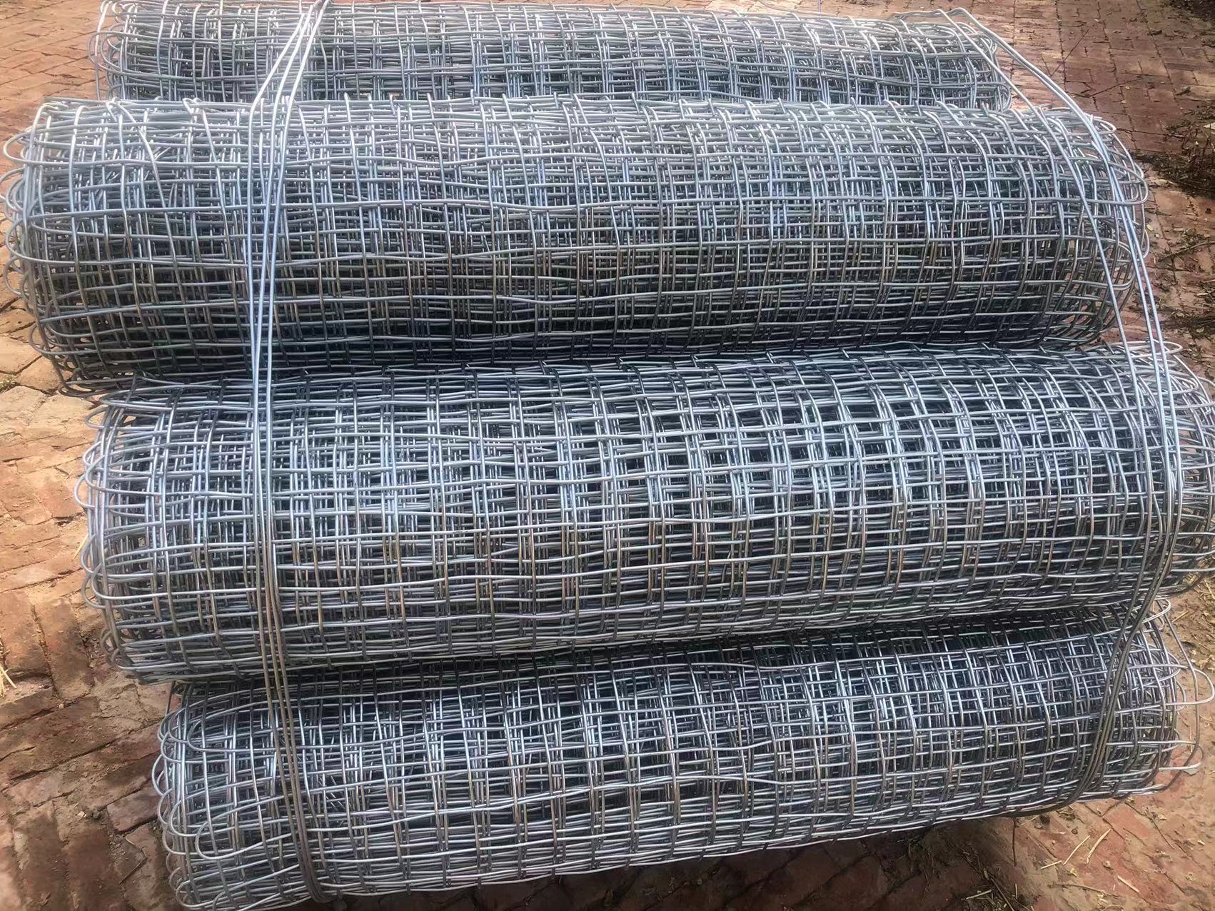 河北鍍鋅礦用經緯網 煤礦支護網 特殊規格可定做圖片3