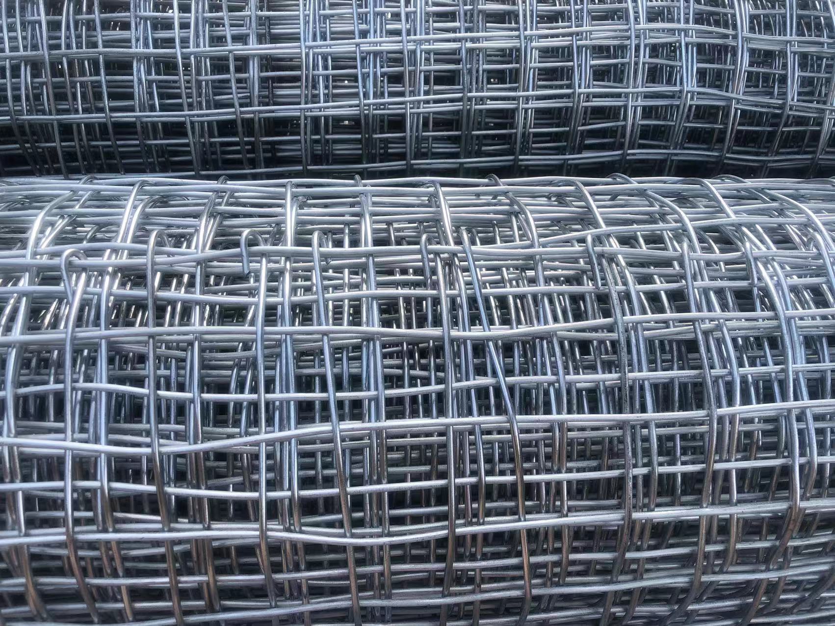 河北煤礦井下用經緯形金屬網圖片2